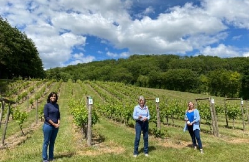 Claire Coutinho MP for East Surrey visiting Godstone Vineyards