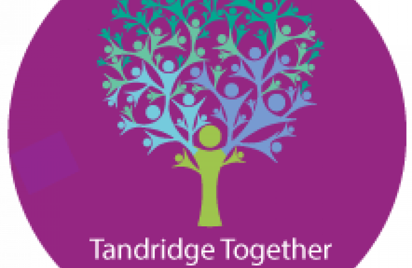 Tandridge together community fund logo
